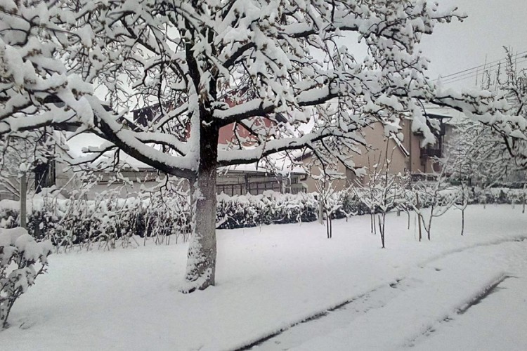 Žuti meteoalarm za veći dio BiH Žuti meteoalarm za veći dio BiH