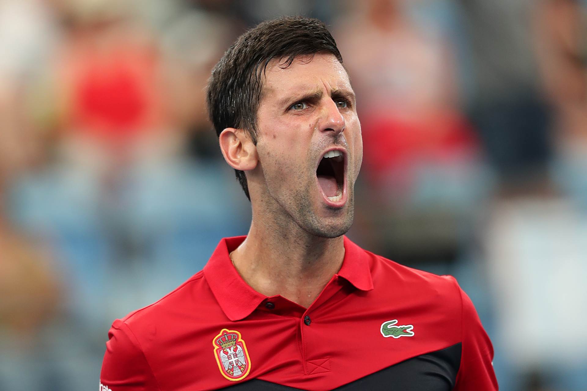 Sjajan kada je najpotrebnije, Đoković pobijedio Zvereva za polufinale Sjajan kada je najpotrebnije, Đoković pobijedio Zvereva za polufinale