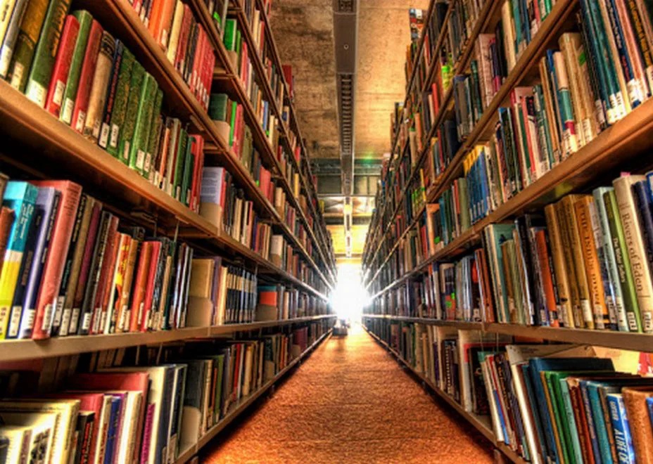 Može li se diplomirani bibliotekar zaposliti u biblioteci?! Može li se diplomirani bibliotekar zaposliti u biblioteci?!