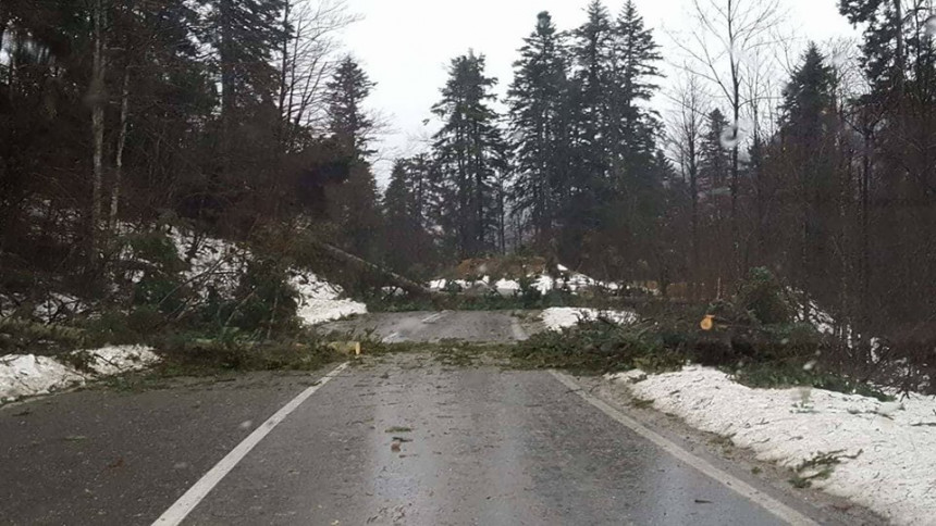 Hrvatska: Olujni vjetar rušio stabla, dizao krovove Hrvatska: Olujni vjetar rušio stabla, dizao krovove