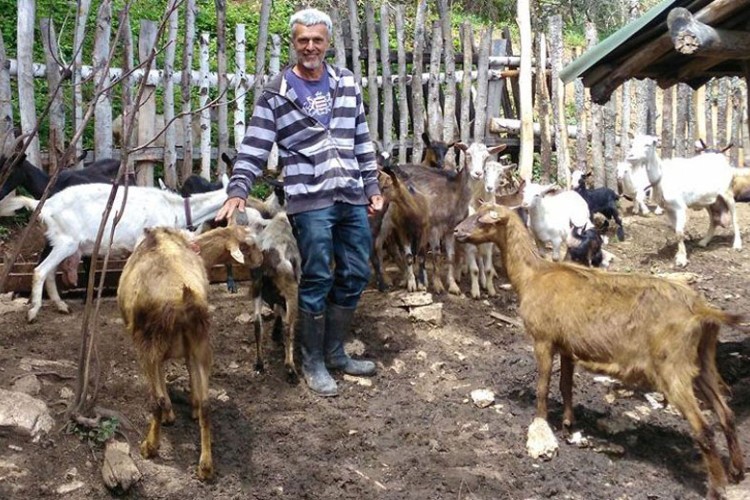 Kozje maslo i puter sa farme Fočaka Vitomira Škipine nemaju cijenu