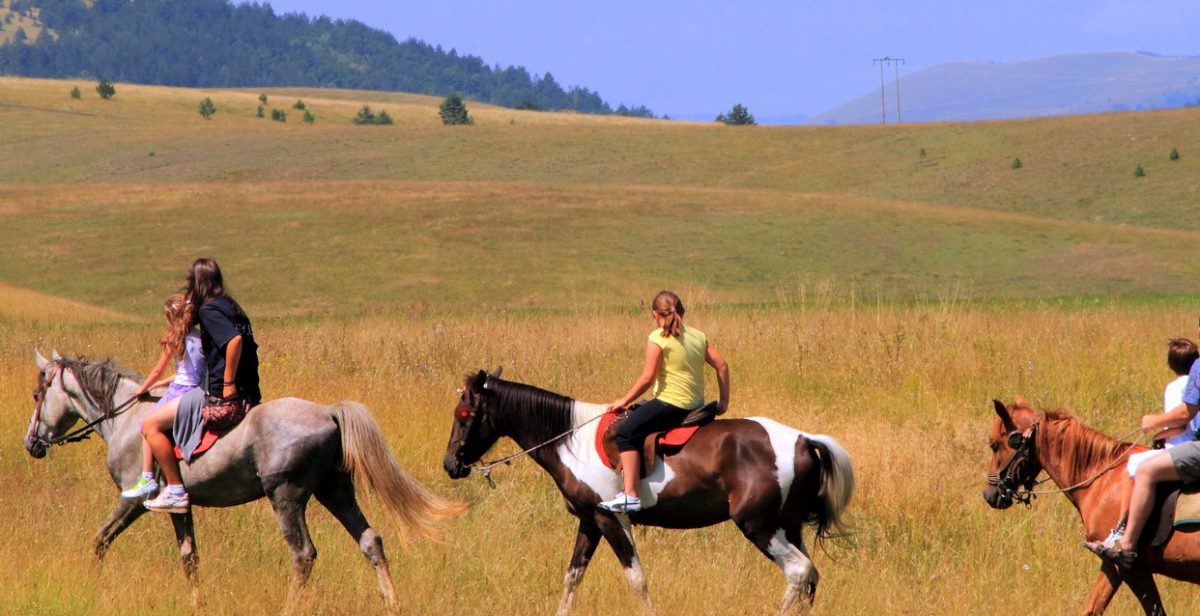 Devizni priliv od turizma premašio 1,2 milijarde evra Devizni priliv od turizma premašio 1,2 milijarde evra