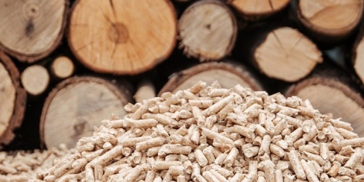 Evropska komisija preispituje zabranu izvoza drveta i peleta iz BiH