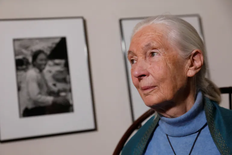 Jane Goodall: Mi ljudi nismo jedina živa bića na planeti