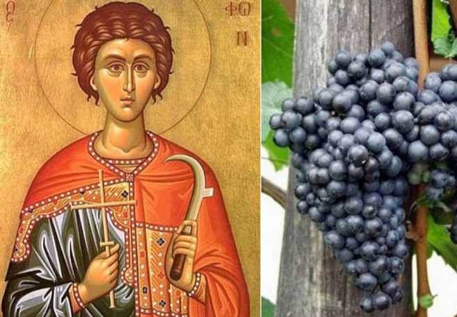 Sveti Trifun slava vinogradara