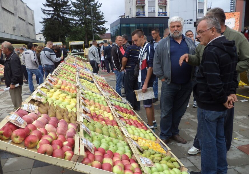 „Dobar balans sa uvozom“ Vrijednost voćarske proizvodnje u Srpskoj veća od 220 miliona KM godišnje