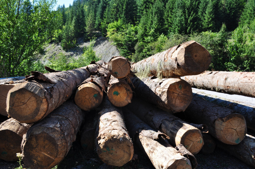 „Šume“ u problemu: Obaveze preduzeća za 26,5 miliona veće od vrijednosti imovine