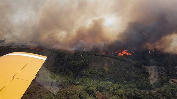 Gori i u Francuskoj: Požar u blizini aerodroma u Nici