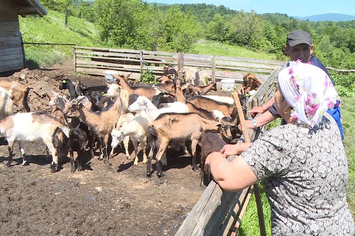 „Život žena na selu nije lak, ali je ljepši“