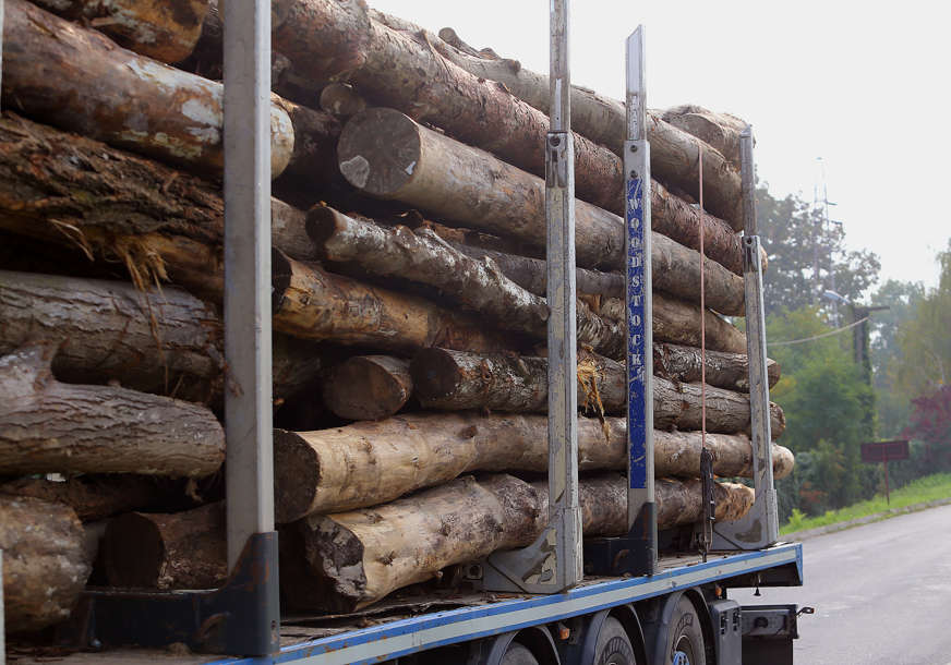 Šumari se izborili sa brojnim nedaćama: Obim sječe izvršen sa 95 odsto, dovoljno drva za ogrev