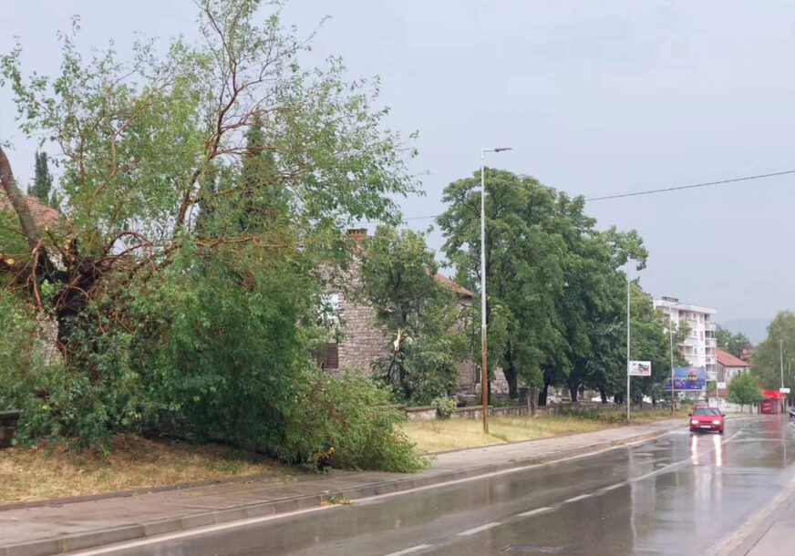 Oborena stabla, a padale su i CIGLE SA KROVOVA: Jaka oluja, praćena gradom, vjetrom i kišom zahvatila je Bileću