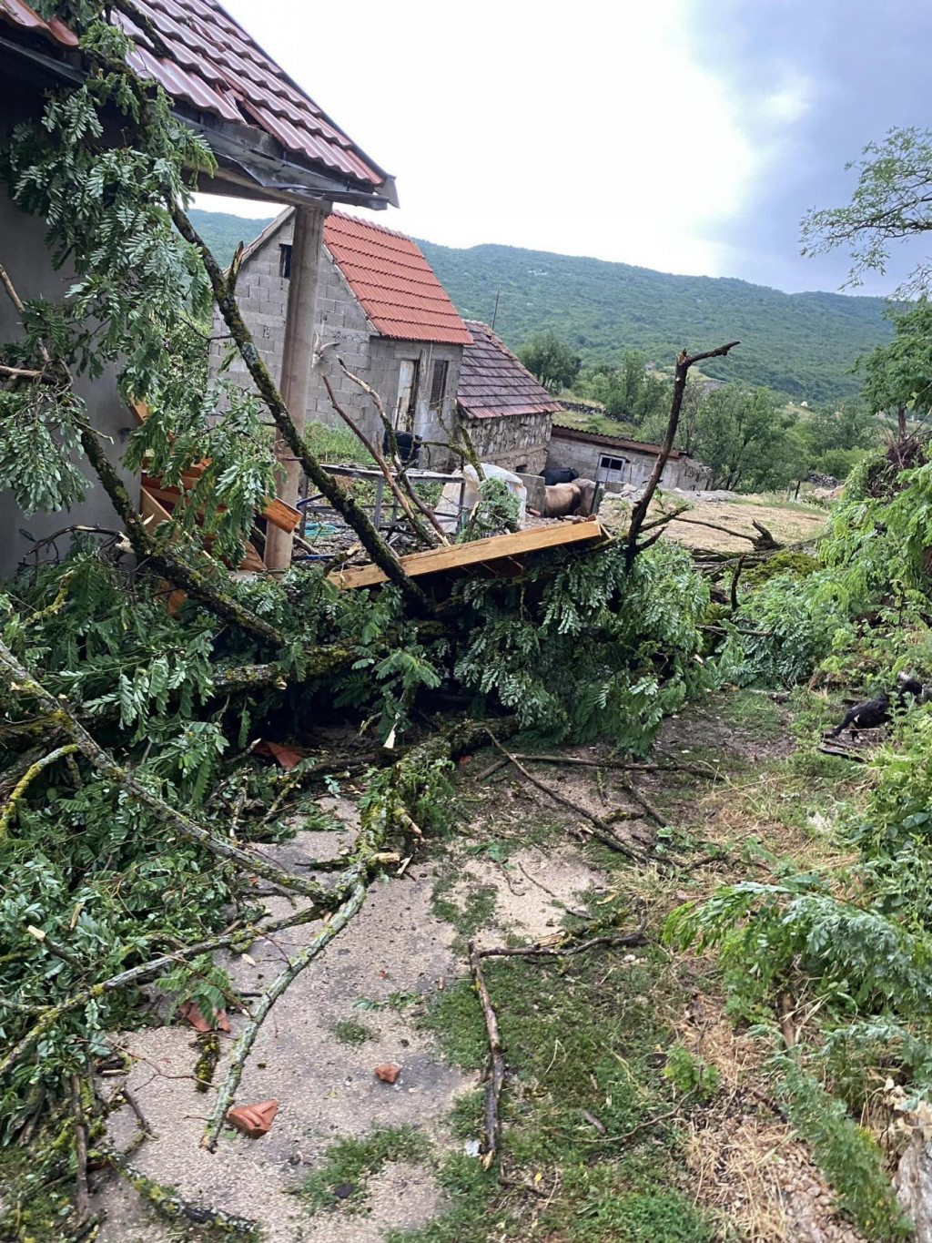 Nevrijeme kod Nikšića: Olujni vjetar oštetio krovove kuća, čupao drveća