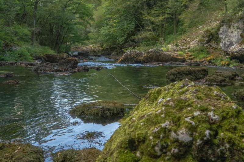 NADLEŽNI DA SPRIJEČE IZGRADNJU Ekološka udruženja iz Hrvatske i BiH protiv gradnje mini hidrocentrale na izvoru rijeke Une