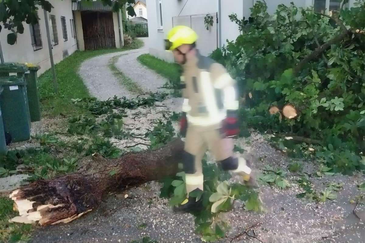 Nevrijeme u Sloveniji, vjetar obarao stabla i dalekovode