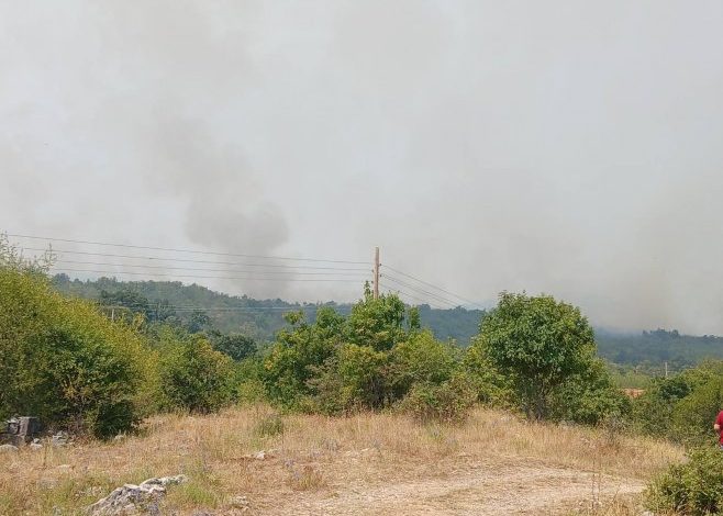 Požarna linija u Bileći duga 20 kilometara, vjetar otežava gašenje