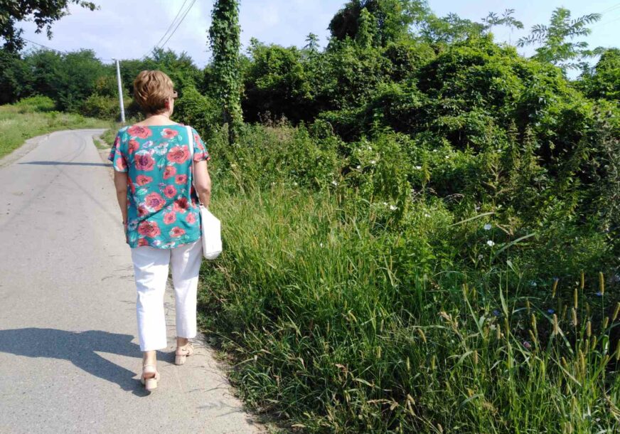 SVAKI ČETVRTI ČOVJEK ALERGIČAN Kijanje, svrab u očima, curenja nosa samo su neki od simptoma koje izaziva polen od ambrozije