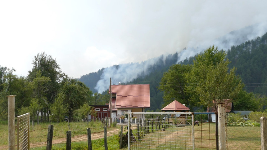 Vatrena stihija guta borovu šumu kod Višegrada