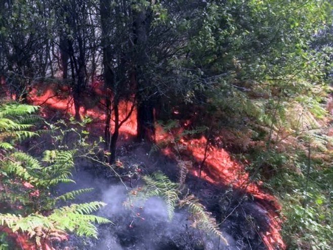 Vatrenu stihiju u NP „Drina“ gasi helikopter MUP-a Srbije; Požar buknuo i na području Rudog (VIDEO)