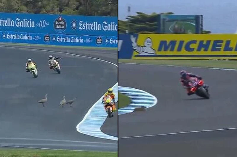 Guske i zec prekidali trening MotoGP-ja u Australiji: Dva puta „za dlaku“ izbjegnuta tragedija