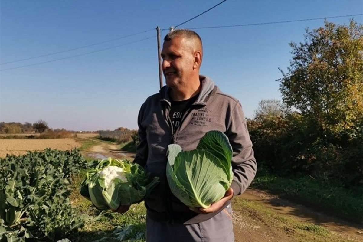 Karfiol nikad skuplji: Kilogram kao nekad puna kartonska kutija