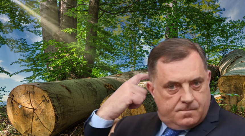 Dodik otkrio: Šume bi bile sasvim uništene da ja to nisam zaustavio!