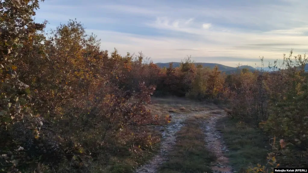 Trebinje: Umjesto solarnih panela – hercegovačka šikara