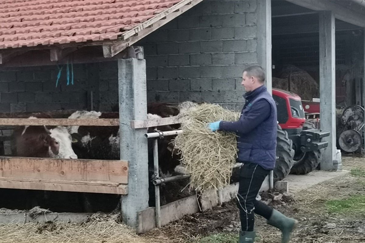 Ima stan u gradu, ali čim dođe s posla ide u štalu