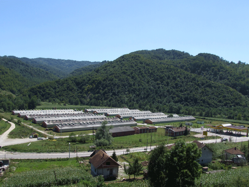 Dukići prodaju farmu koka u Milićima