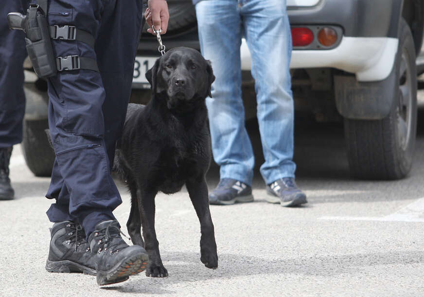 „Nepogrešivi su u obavljanju svojih zadataka“ Granična policija ima 18 obučenih službenih pasa koji su važna karika u kontroli državne granice