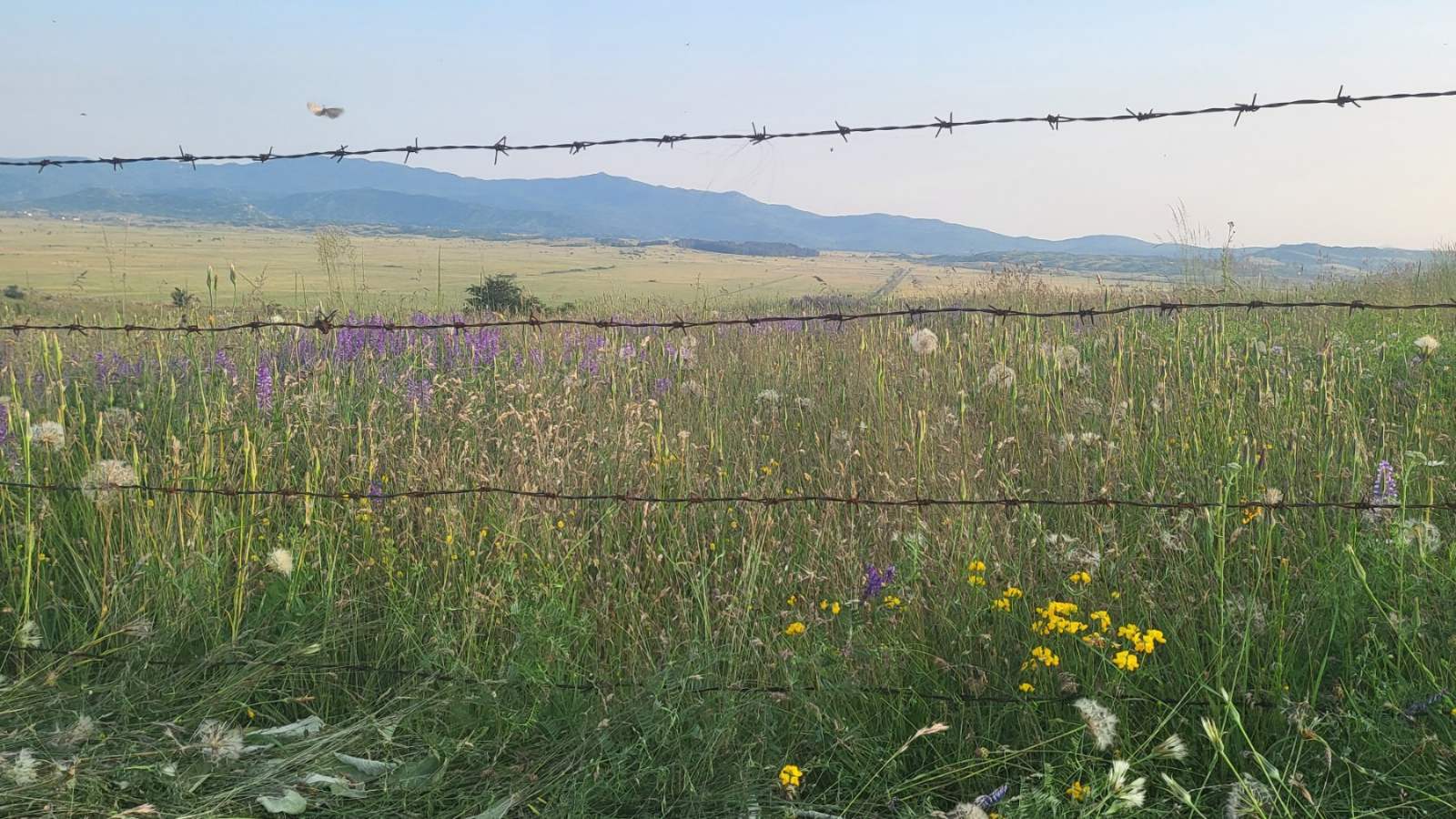 Pismo jedne Gačanke iz Srbije: Praštajte studenti!