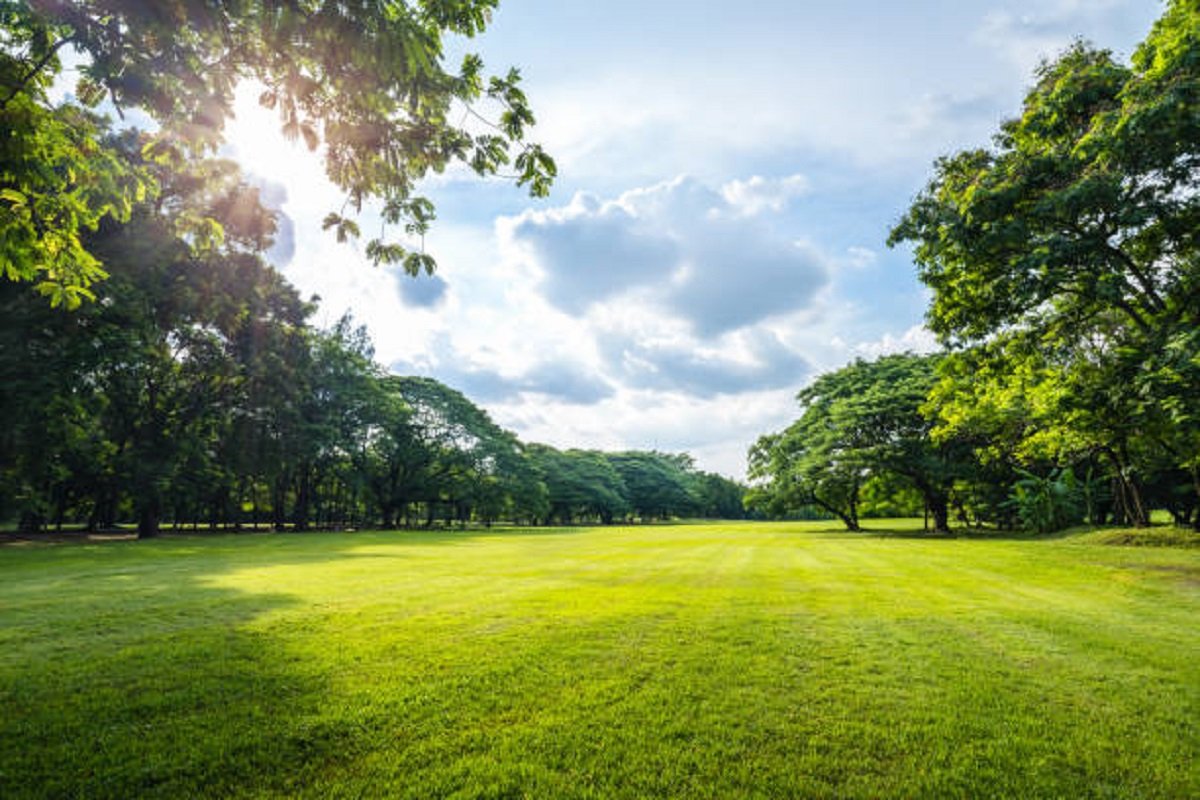 Najmanji park na svijetu nema ni metar dužine (VIDEO)