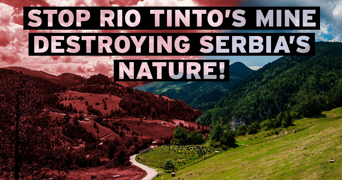 Zaustavite uništavanje prirode Srbije rudnikom Rio Tinta! Zaustavite uništavanje prirode Srbije rudnikom Rio Tinta!