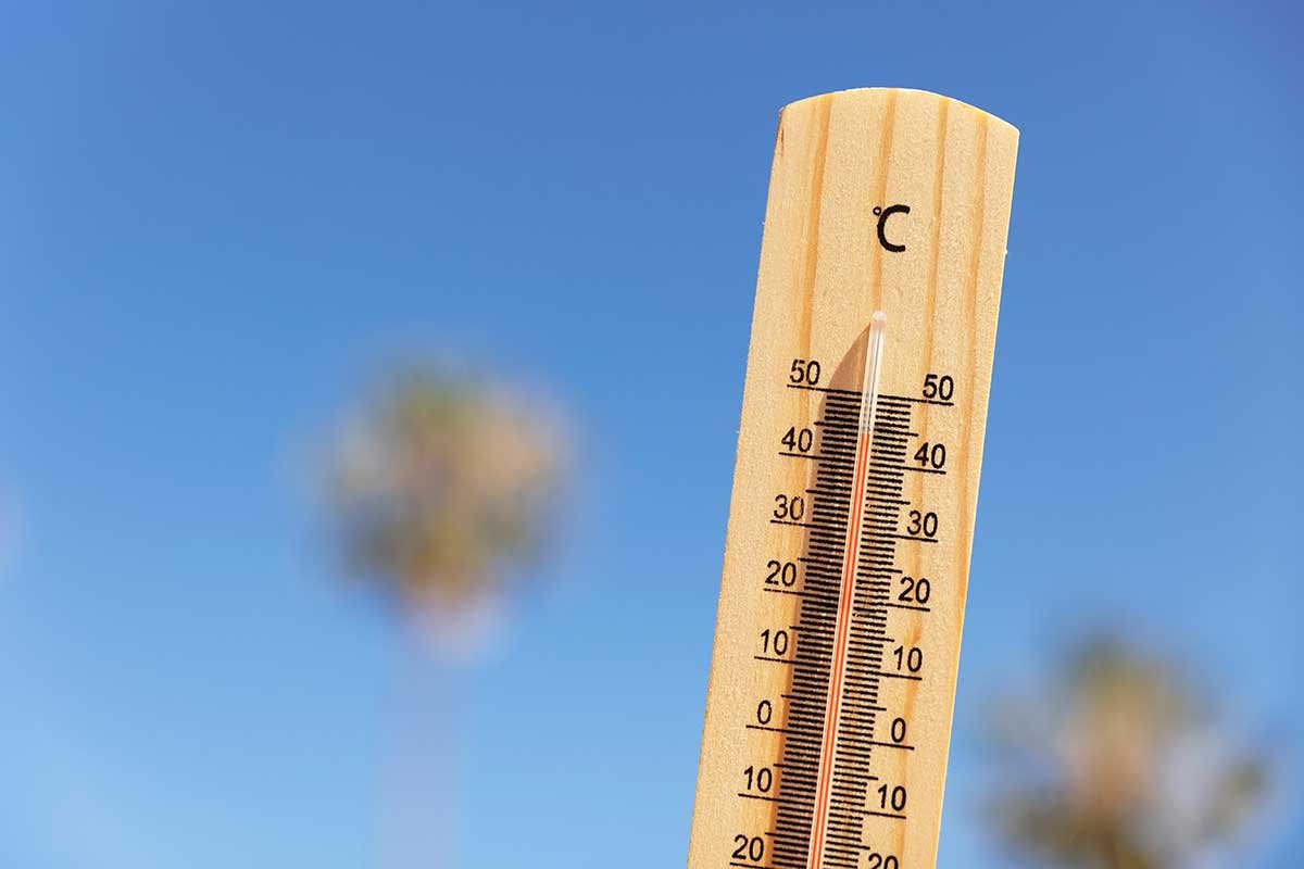 Danas vrhunac toplotnog talasa, temperature i preko 40 stepeni (FOTO)