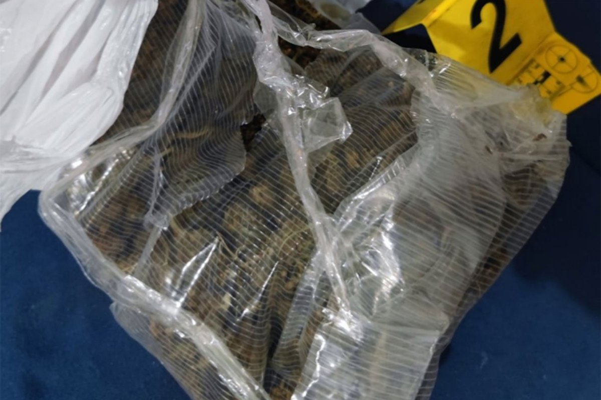 Pred roditeljima u Banjaluci od maloljetnika oduzeta marihuana Pred roditeljima u Banjaluci od maloljetnika oduzeta marihuana