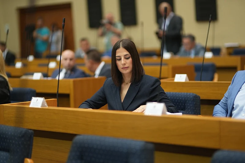 Preduzeće „Šume Republike Srpske“ prvih šest mjeseci ove godine završilo s gubitkom od šest miliona KM Preduzeće „Šume Republike Srpske“ prvih šest mjeseci ove godine završilo s gubitkom od šest miliona KM