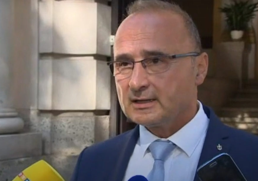 Grlić Radman o presudi Dodiku: Hrvatska će poštovati odluku Suda BiH