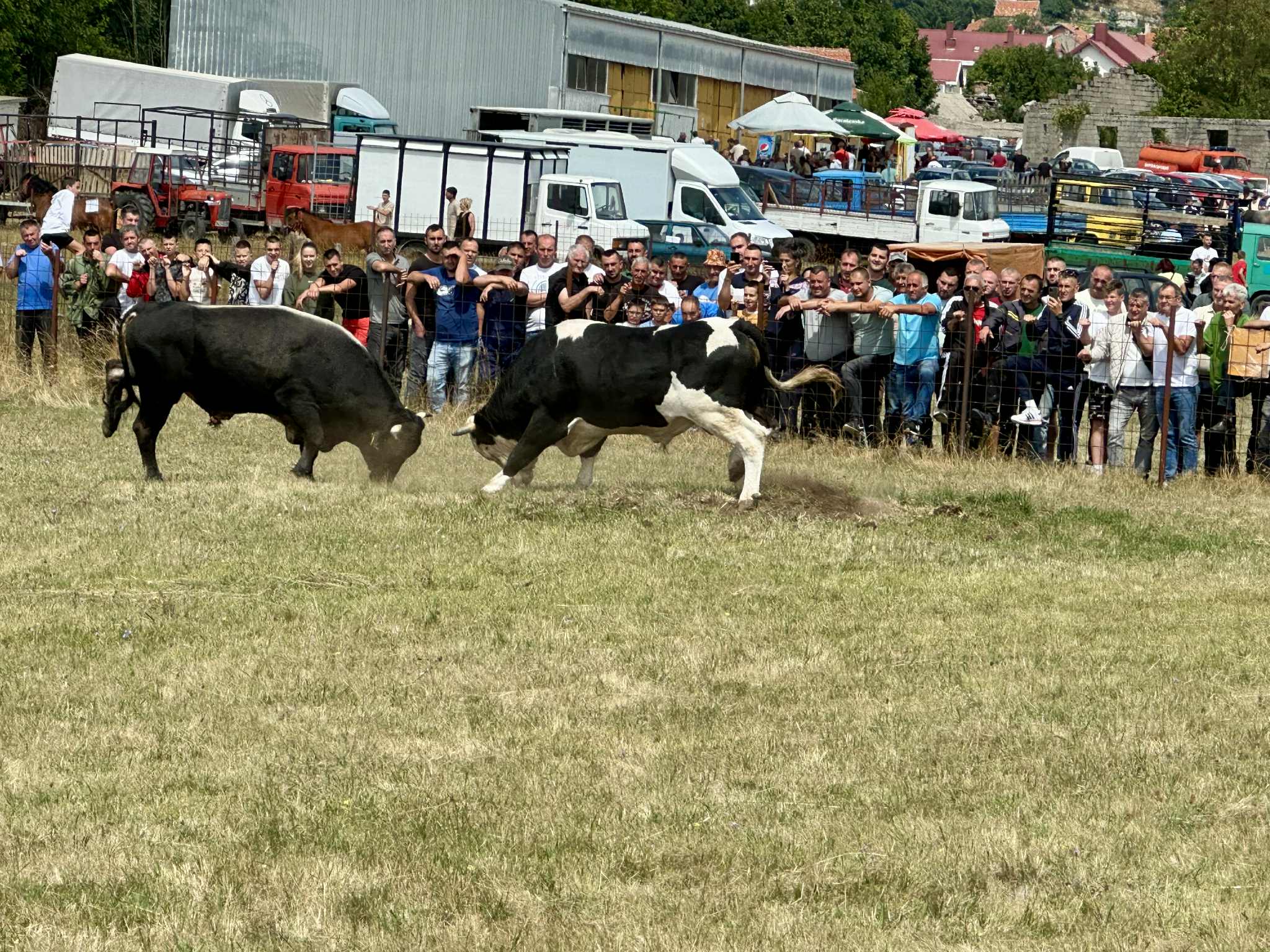 Održan 48. regionalni stočni sajam u Gacku Održan 48. regionalni stočni sajam u Gacku
