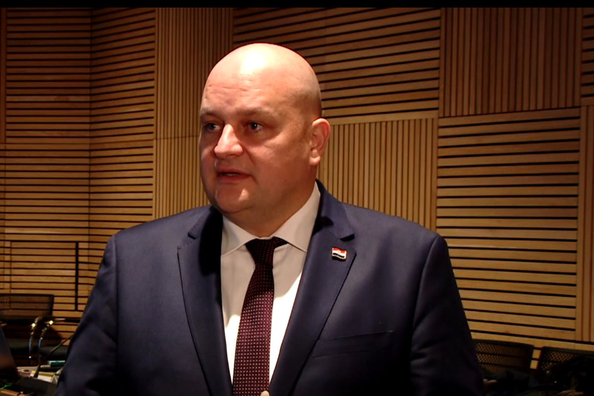 Šušnjar: Hrvatska spremna kupiti NIS, hoćemo da pomognemo i BiH Šušnjar: Hrvatska spremna kupiti NIS, hoćemo da pomognemo i BiH