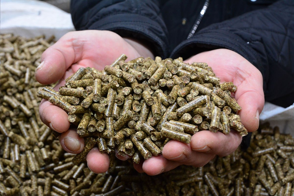 Zašto je poskupio pelet: „Jedan proizvođač prodao više od 6.000 peći“