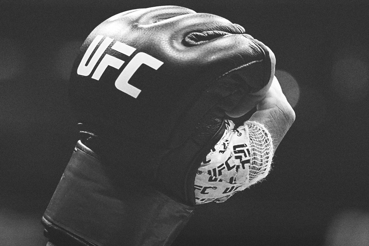 Udavio se slavni MMA borac