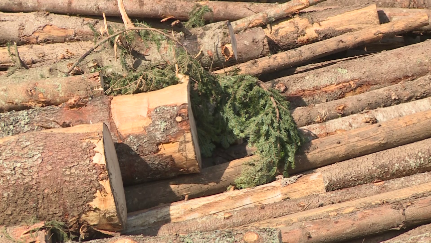 Radnici u ŠG „Čemernica“ stupili u štrajk upozorenja