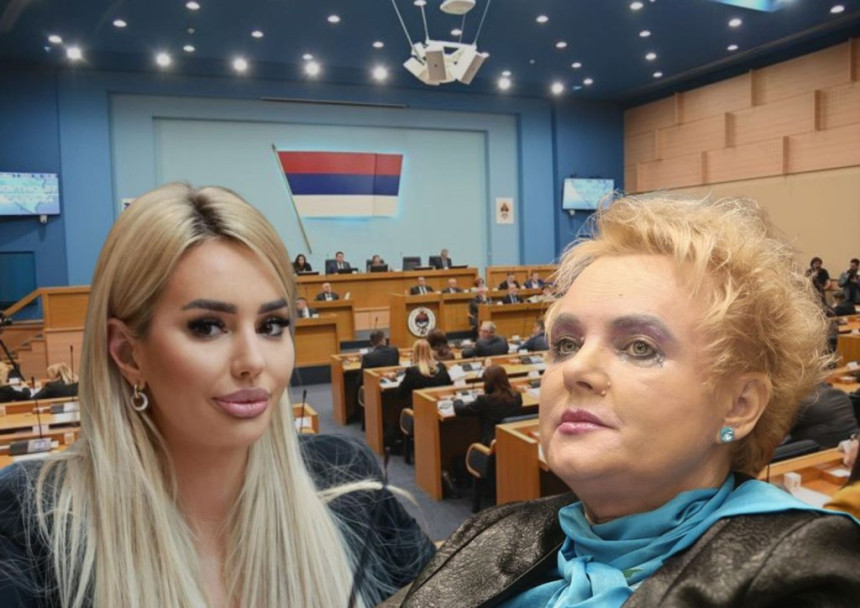 Poslanica Nikolina Šljivić nije u sukobu interesa