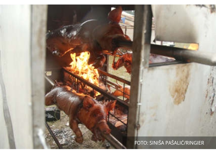„Nema velike potražnje za BOŽIĆNIM PEČENICAMA“ Cijena prasadi od 5,5 do 7,5 KM žive vage, ali kupaca za njih nema „Nema velike potražnje za BOŽIĆNIM PEČENICAMA“ Cijena prasadi od 5,5 do 7,5 KM žive vage, ali kupaca za njih nema