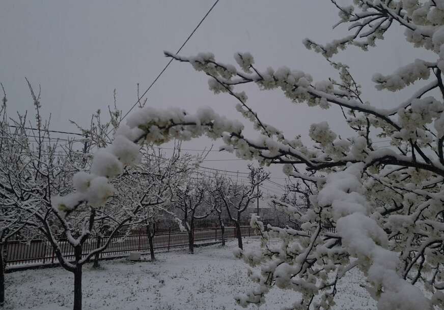 „Ovakvi udari vjetra dogode se jednom u 100 godina“ Meteorolog OTKRIO UZROK ekstremnog nevremena