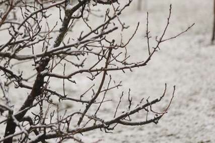 Ima li proljeća na vidiku? Još danas LIJEPO VRIJEME, a onda preokret kojem se u ovo doba NISMO NADALI