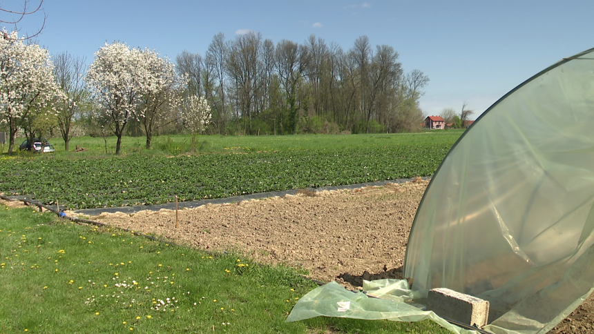 Za poljoprivredu svaka godina sve teža, ova je strahovita Za poljoprivredu svaka godina sve teža, ova je strahovita