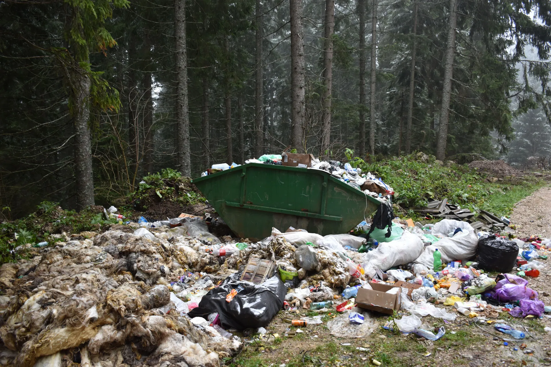 Kozarački ovčar od odbačene vune pravi biznis koji čisti cijelo Gacko
